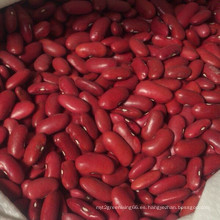 Top Qualty Red Kidney Bean (180-200)